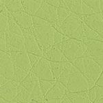 Verde TR513