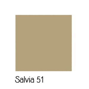 Salvia 51