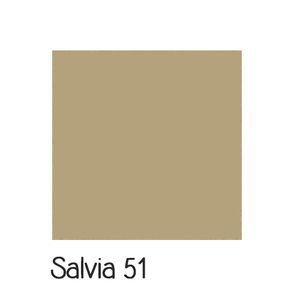 Salvia