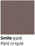 Smile 9306 - Paint.17-1506