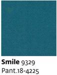 Smile 9329 - Paint.18-4225