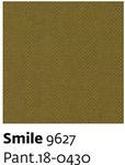 Smile 9627 - Paint.18-0430