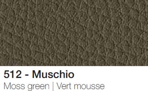 Muschio