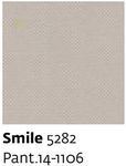 Smile 5282 - Paint.14-1106
