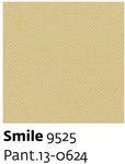 Smile 9525 - Paint.13-0624