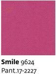Smile 9624 - Paint.17-2227