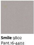 Smile 9802 - Paint.19-2431