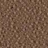 Nocciola 526