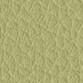 Verde Acido 511