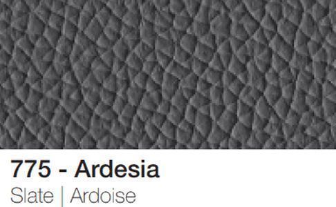 Ardesia