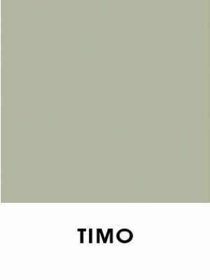 Timo