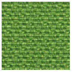 Verde / Green B21