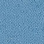 Cielo TN005