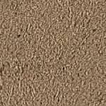 Biscotto TN010