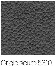 Grigio Scuro 5310