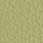 Verde Acido 511