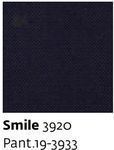 Smile 3920 - Paint.19-3933