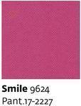 Smile 9624 - Paint.17-2227