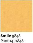 Smile 9848 - Paint.14-0848