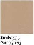 Smile 3315 - Paint.15-1213