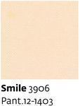 Smile 3906 - Paint.12-1403