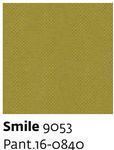 Smile 9053 - Paint.16-0840