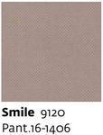 Smile 9120 - Paint.16-1406