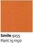Smile 9255 - Paint.15-1150