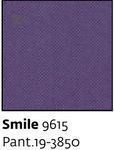 Smile 9615 - Paint.19-3850