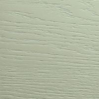 OLIVA
