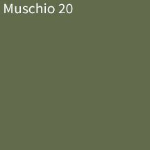 Muschio