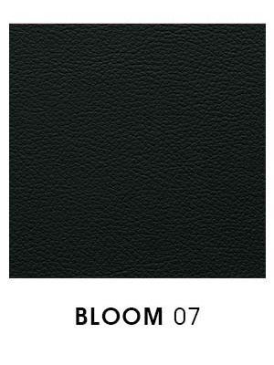 Bloom 07