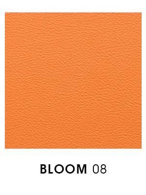 Bloom 08