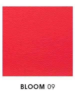 Bloom 09