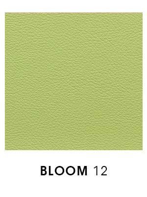 Bloom 12