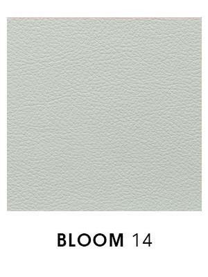 Bloom 14