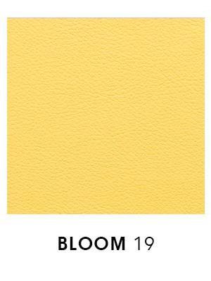 Bloom 19