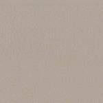 Grigio Chiaro M097