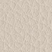 Avorio 507