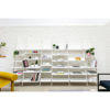 Libreria Tyke | Magis