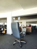 Croma VIP | Lt Form