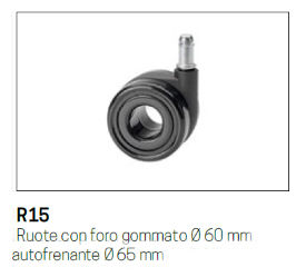 R15 [+€19,00]