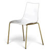 Zebra con telaio in Ottone satinato